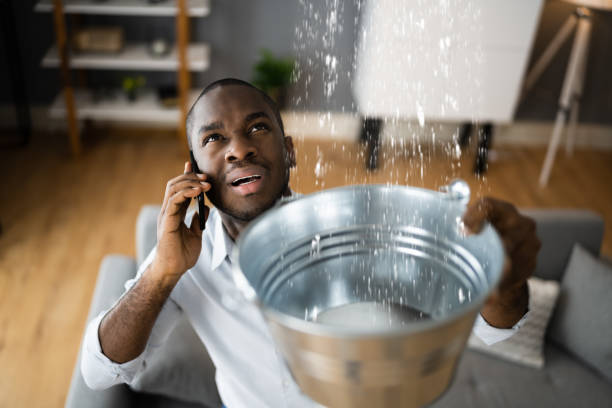 Best Local water damage restoration  in Crescent Springs, KY