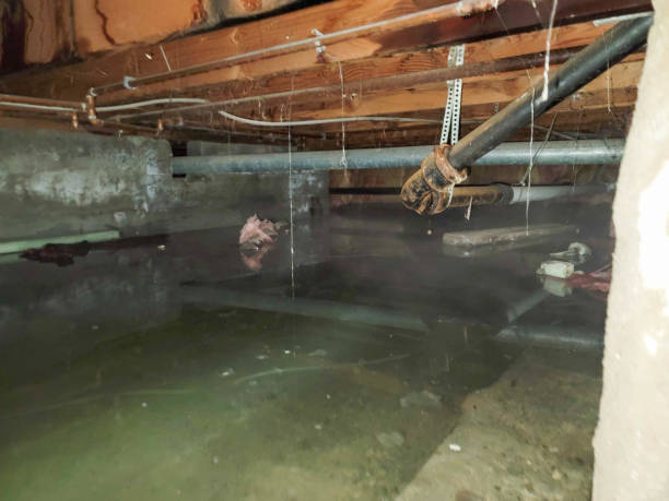 Best Sewage cleanup and water damage restoration  in Crescent Springs, KY