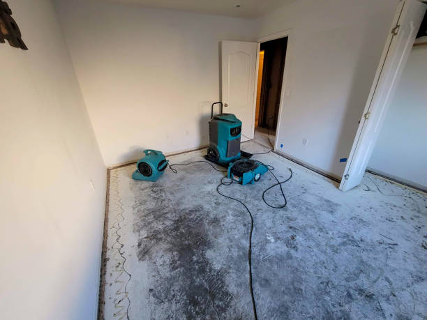 Best Water damage restoration services  in Crescent Springs, KY