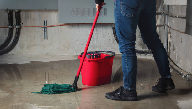Best Water damage restoration near me  in Crescent Springs, KY