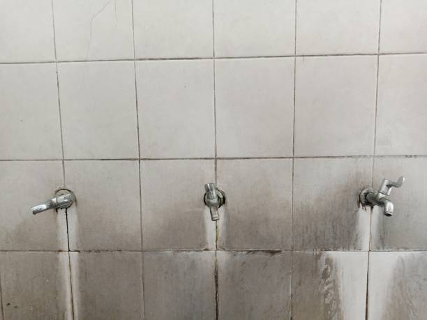 Best Water damage restoration insurance claims  in Crescent Springs, KY