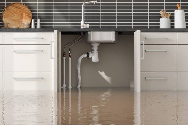Trusted KY Water damage restoration Experts