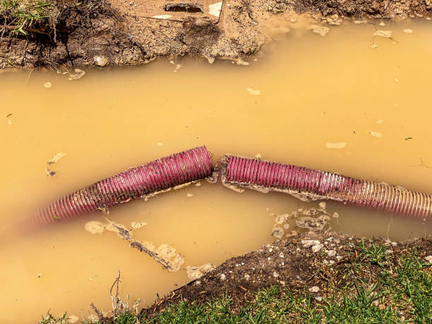 Best Water damage cleanup near me  in Crescent Springs, KY