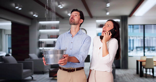 Best Water damage restoration specialists  in Crescent Springs, KY