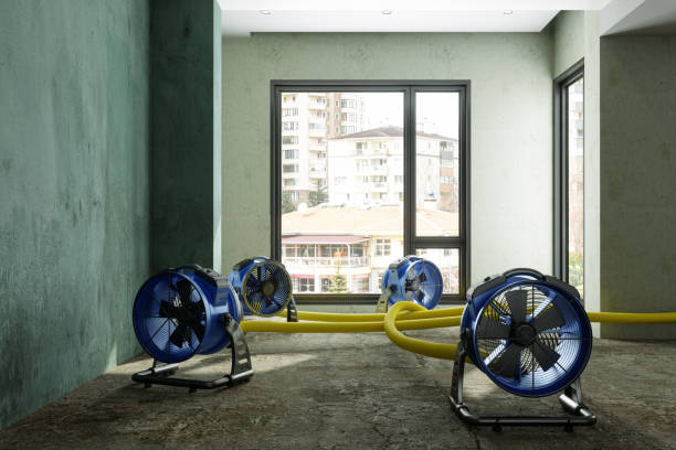 Best Basement water damage restoration  in Crescent Springs, KY